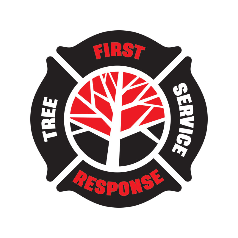 logo-design-for-tree-service-industry-800x800-0418